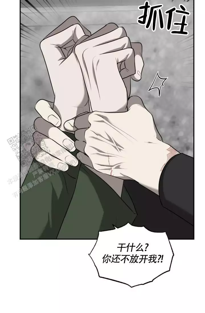 《动物园(I+II季)》漫画最新章节第65话免费下拉式在线观看章节第【39】张图片