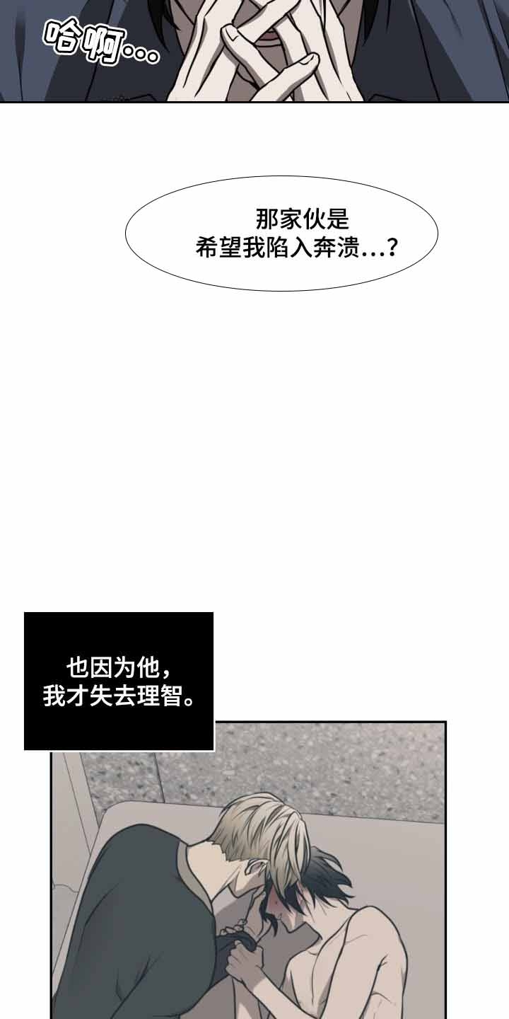 《动物园(I+II季)》漫画最新章节第31话免费下拉式在线观看章节第【12】张图片