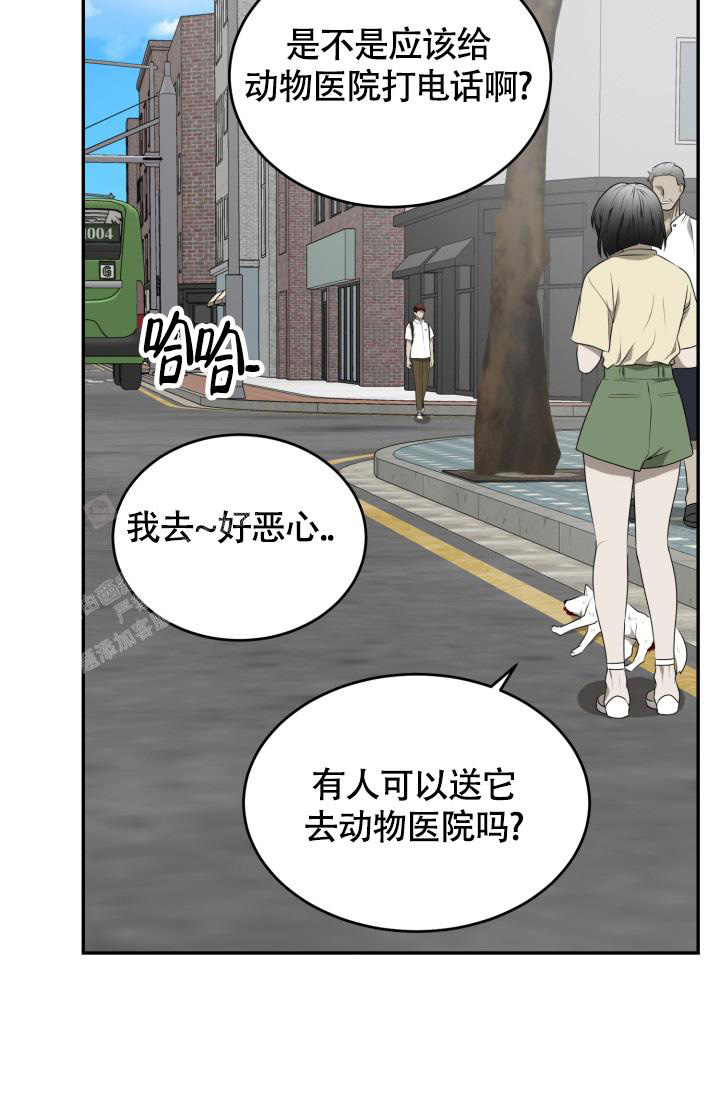 《动物园(I+II季)》漫画最新章节第54话免费下拉式在线观看章节第【29】张图片