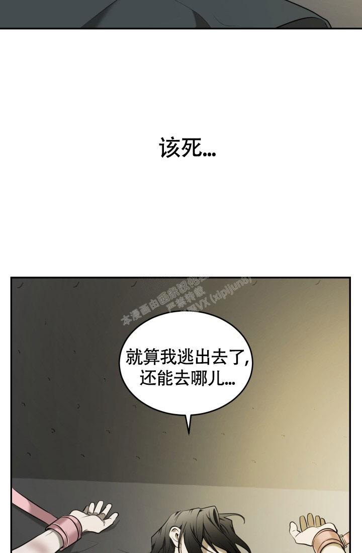 《动物园(I+II季)》漫画最新章节第12话免费下拉式在线观看章节第【33】张图片