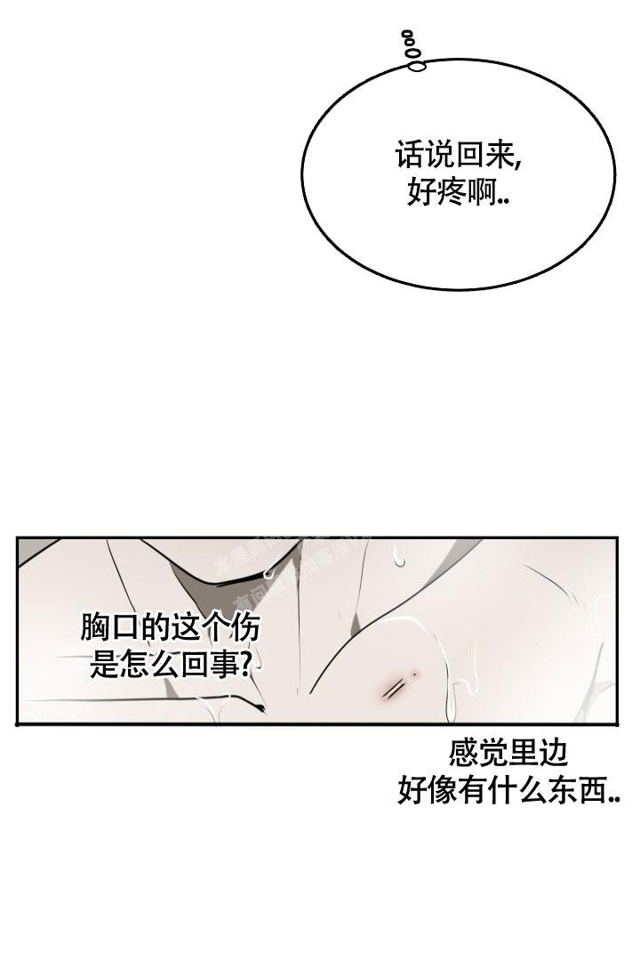 《动物园(I+II季)》漫画最新章节第8话免费下拉式在线观看章节第【13】张图片