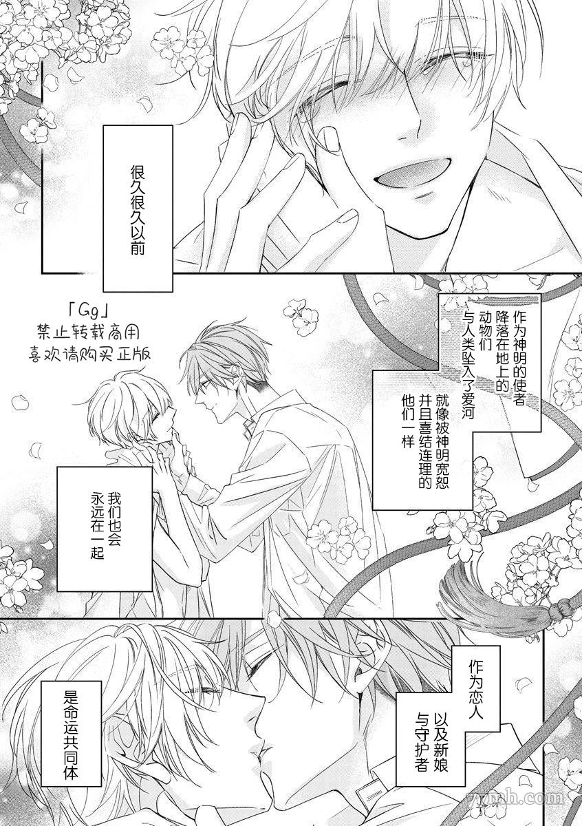 《小兔子一心一意的恋爱情结》漫画最新章节第2话免费下拉式在线观看章节第【39】张图片