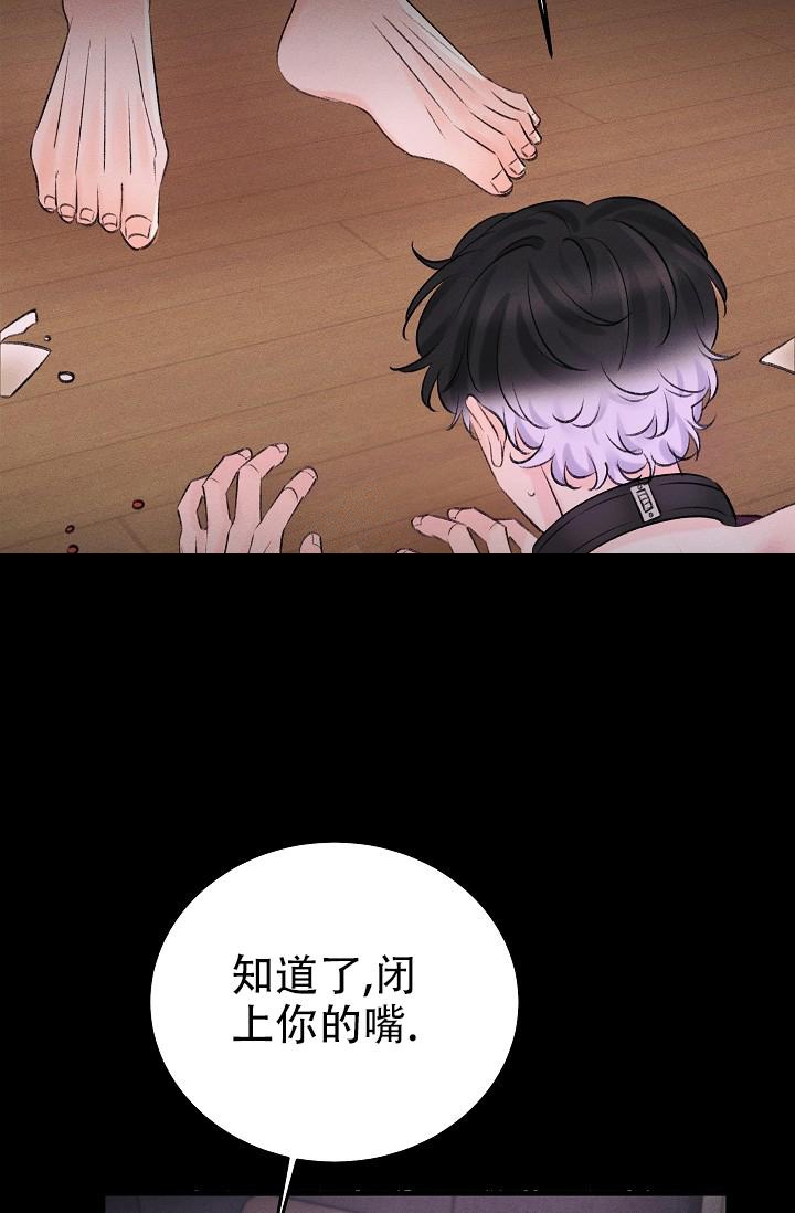 《人偶养成记》漫画最新章节第11话免费下拉式在线观看章节第【4】张图片