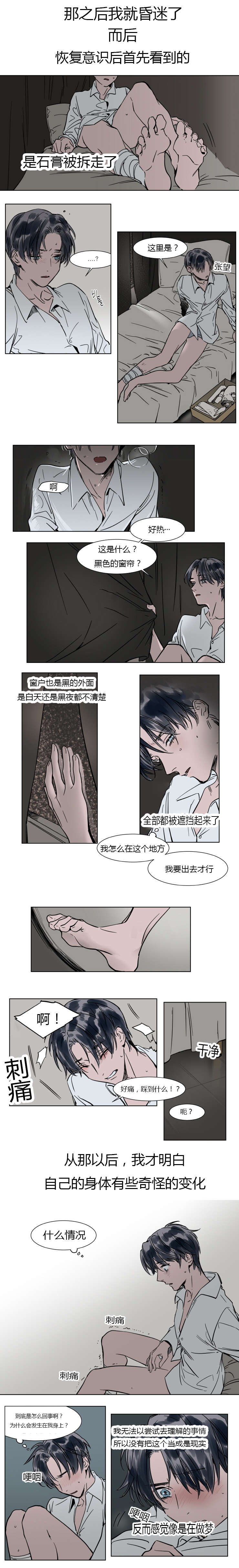 《陆秘书/社长的男秘书/被驯服的遗产》漫画最新章节第19话免费下拉式在线观看章节第【21】张图片