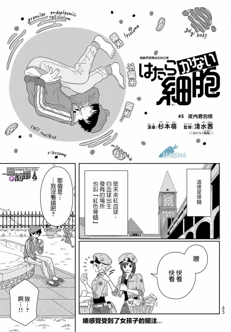 《不工作细胞》漫画最新章节第5话 细胞们悠闲自在的日常免费下拉式在线观看章节第【1】张图片