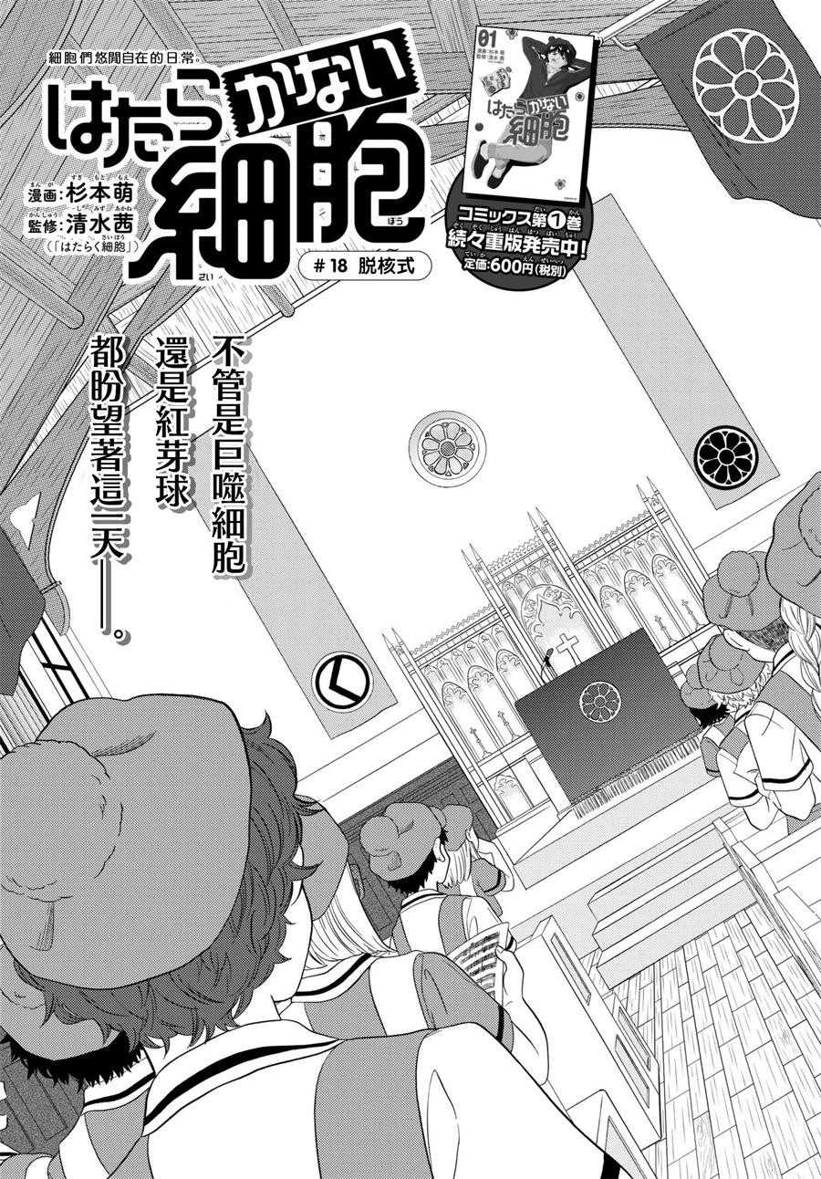 《不工作细胞》漫画最新章节第18话 脱核式免费下拉式在线观看章节第【3】张图片