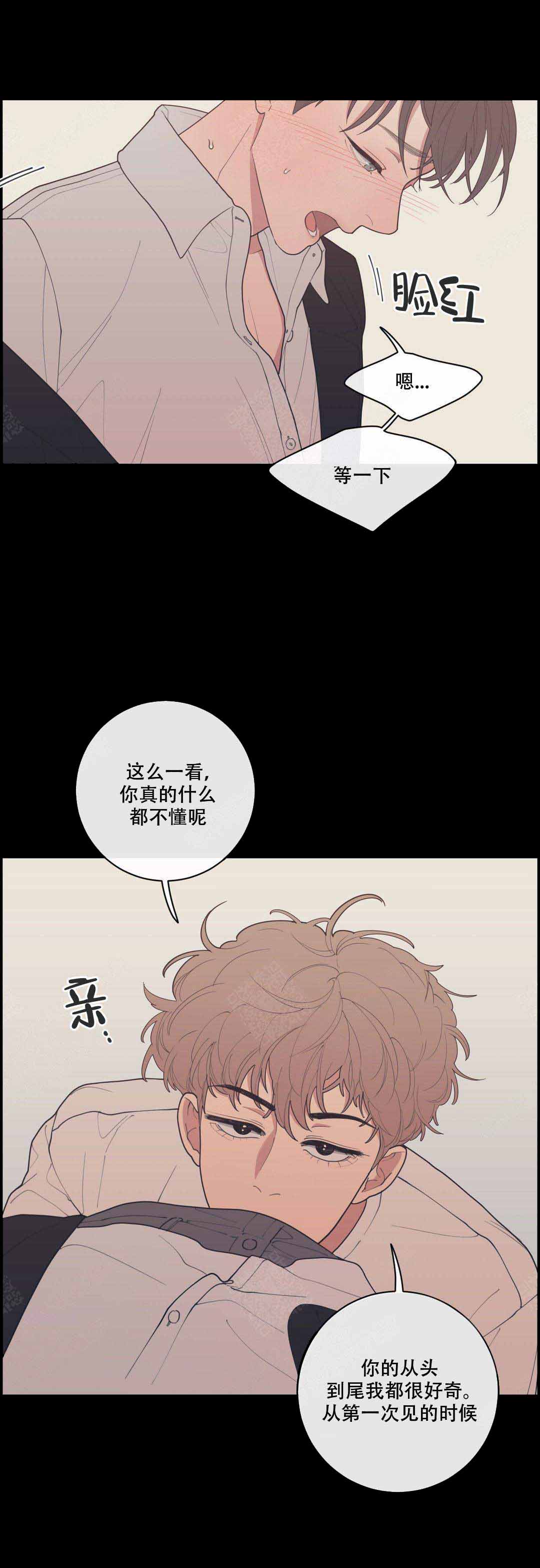 《love or hate》漫画最新章节第77话免费下拉式在线观看章节第【3】张图片