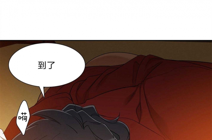 《被驯服的虎》漫画最新章节第74话免费下拉式在线观看章节第【6】张图片