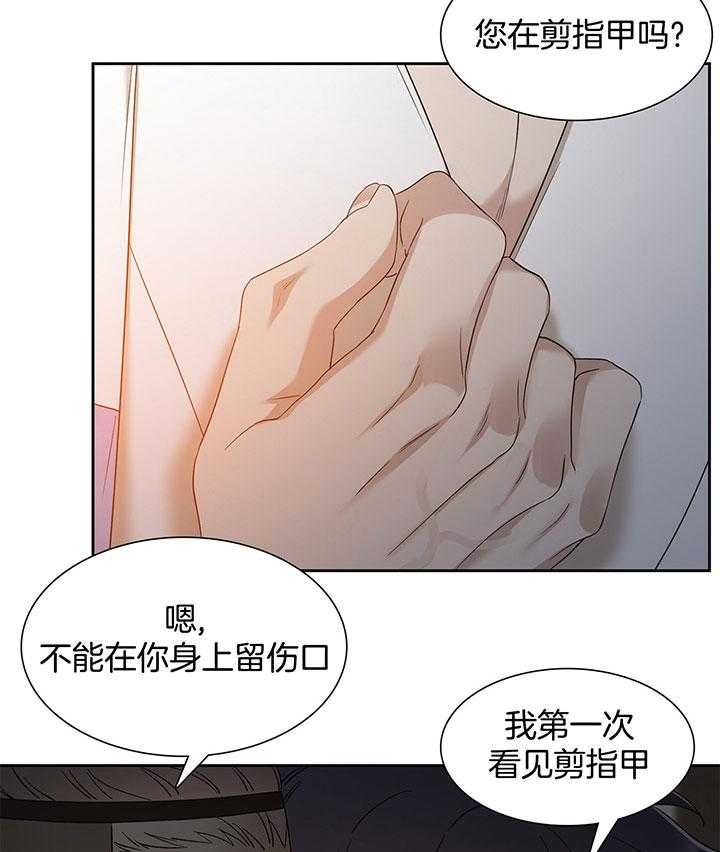 《被驯服的虎》漫画最新章节第78话免费下拉式在线观看章节第【48】张图片