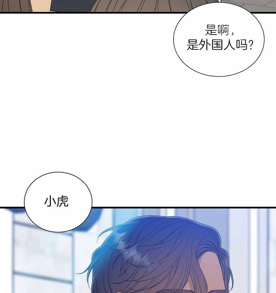 《被驯服的虎》漫画最新章节第149话免费下拉式在线观看章节第【34】张图片