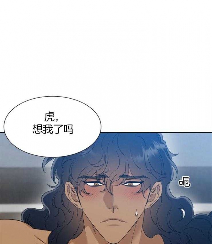 《被驯服的虎》漫画最新章节第49话免费下拉式在线观看章节第【5】张图片