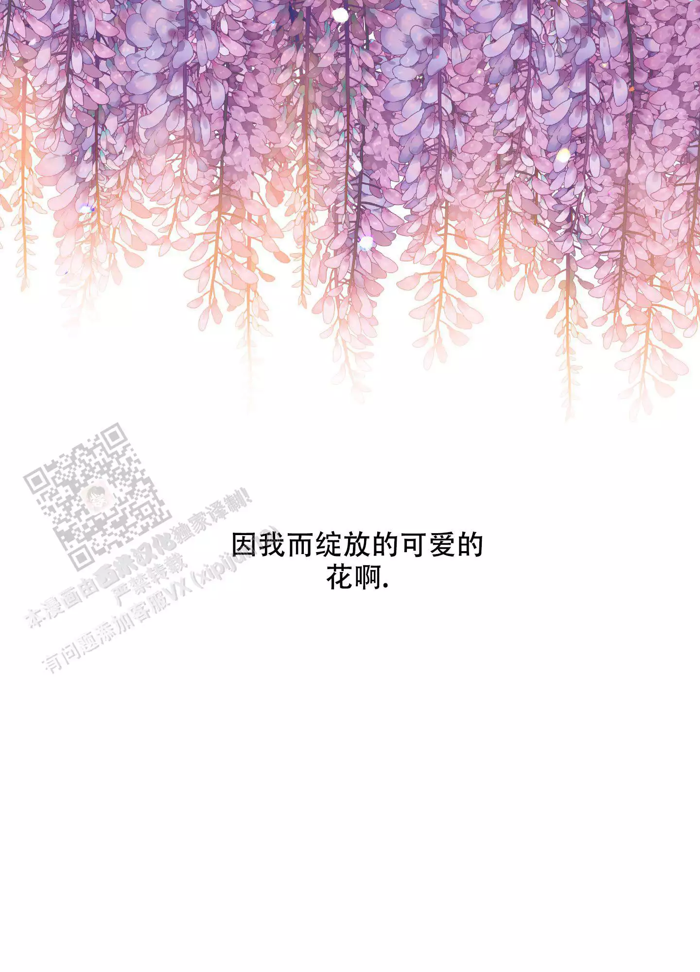 《被驯服的虎》漫画最新章节第159话免费下拉式在线观看章节第【42】张图片