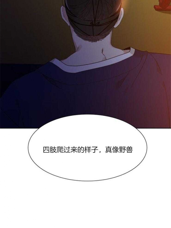 《被驯服的虎》漫画最新章节第1话免费下拉式在线观看章节第【17】张图片