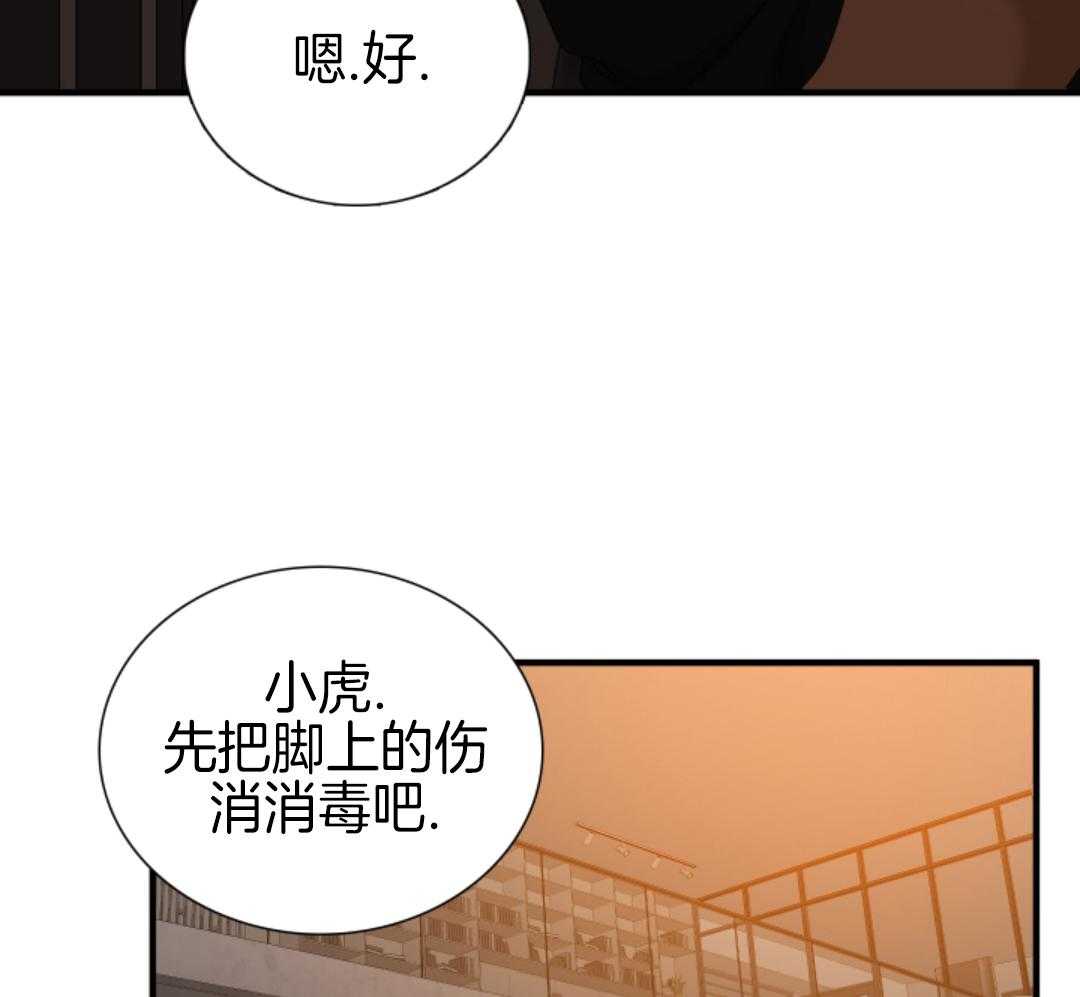 《被驯服的虎》漫画最新章节第145话免费下拉式在线观看章节第【18】张图片