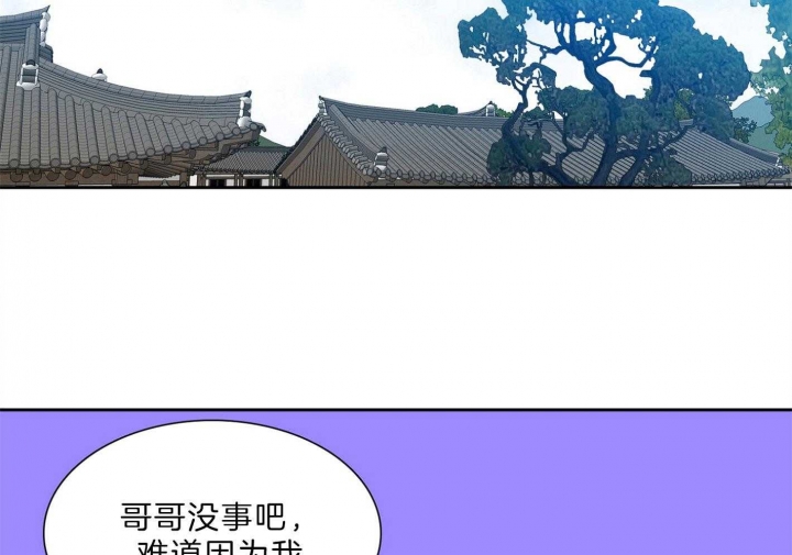 《被驯服的虎》漫画最新章节第74话免费下拉式在线观看章节第【16】张图片