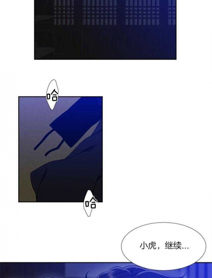 《被驯服的虎》漫画最新章节第49话免费下拉式在线观看章节第【12】张图片