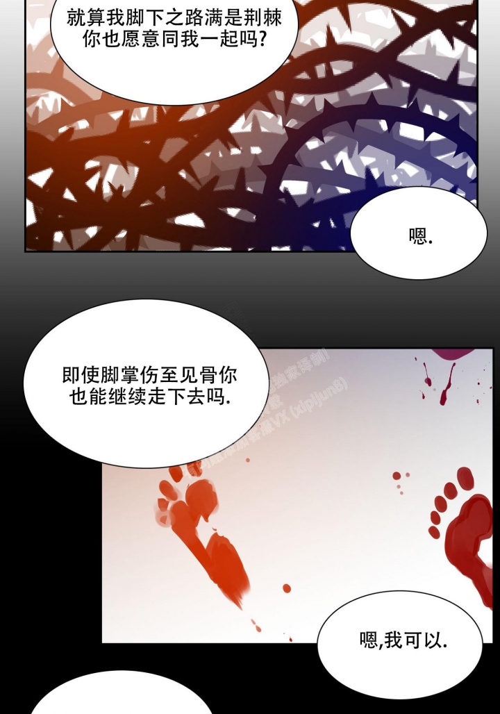 《被驯服的虎》漫画最新章节第116话免费下拉式在线观看章节第【13】张图片