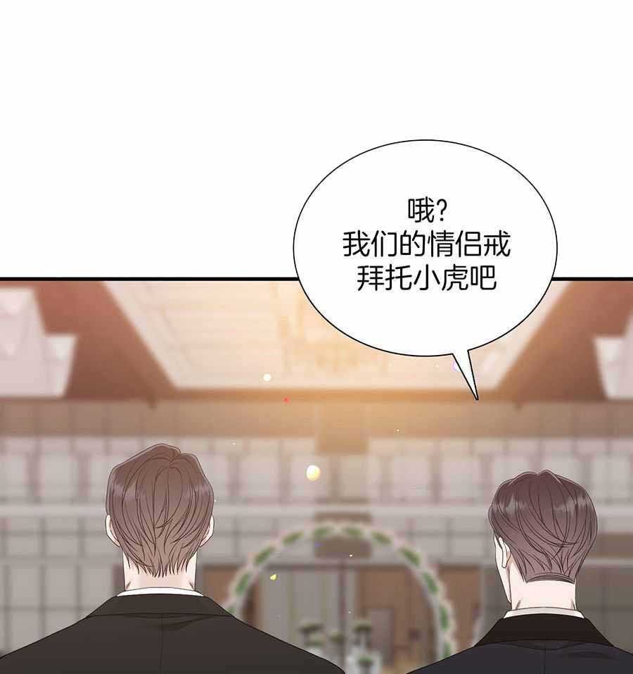 《被驯服的虎》漫画最新章节第149话免费下拉式在线观看章节第【21】张图片