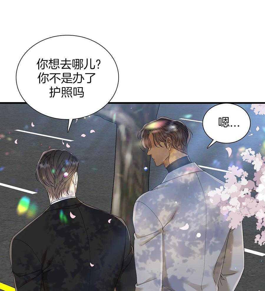 《被驯服的虎》漫画最新章节第150话免费下拉式在线观看章节第【19】张图片