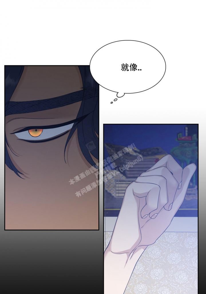 《被驯服的虎》漫画最新章节第112话免费下拉式在线观看章节第【4】张图片