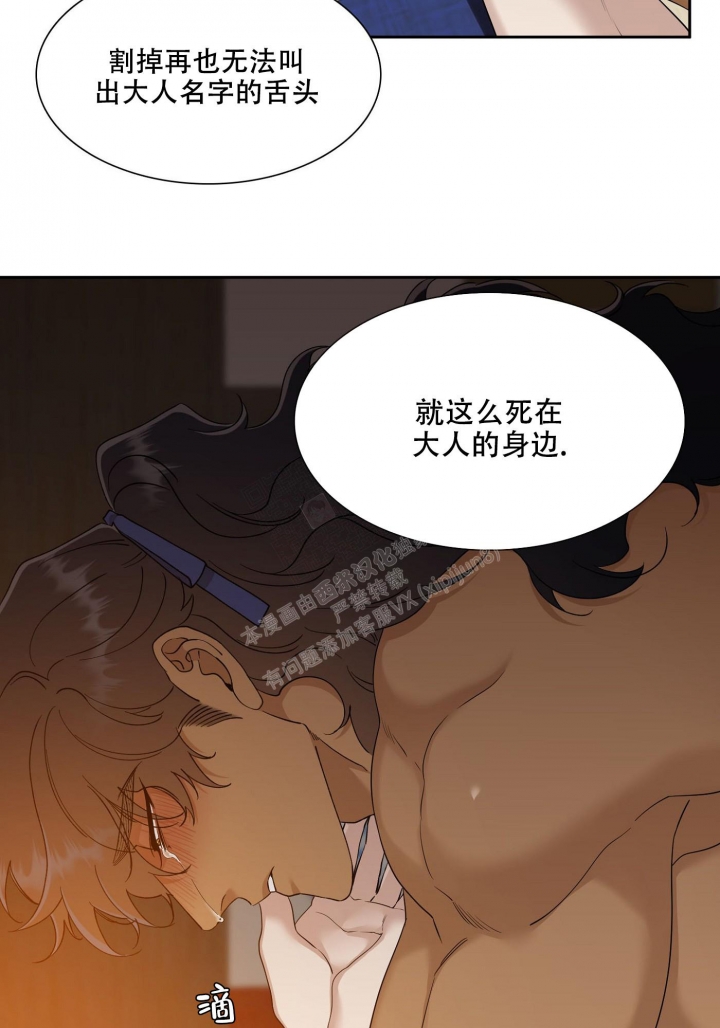 《被驯服的虎》漫画最新章节第116话免费下拉式在线观看章节第【5】张图片