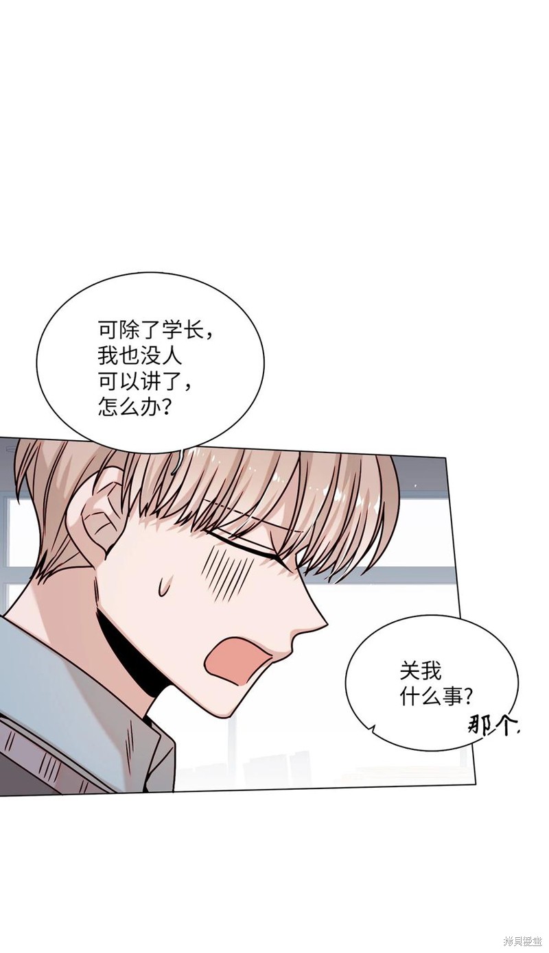 《从漏洞开始攻略》漫画最新章节第19话免费下拉式在线观看章节第【44】张图片