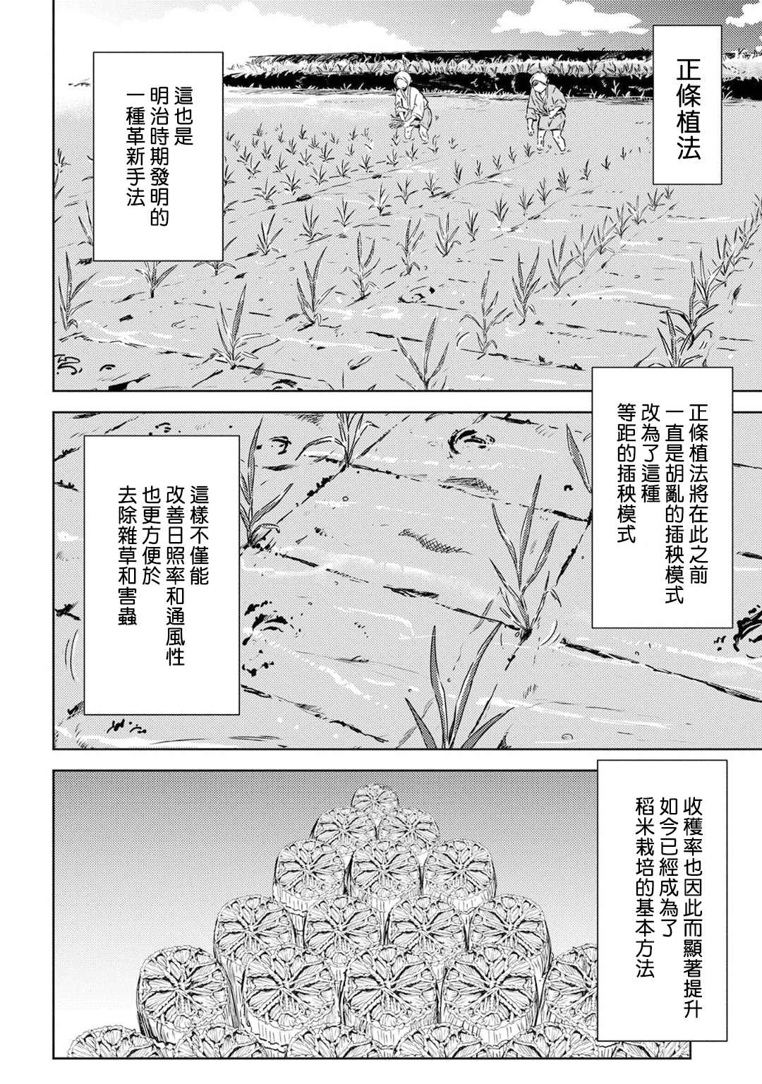 《战国小町苦劳谭-农耕戏画》漫画最新章节第6话免费下拉式在线观看章节第【16】张图片