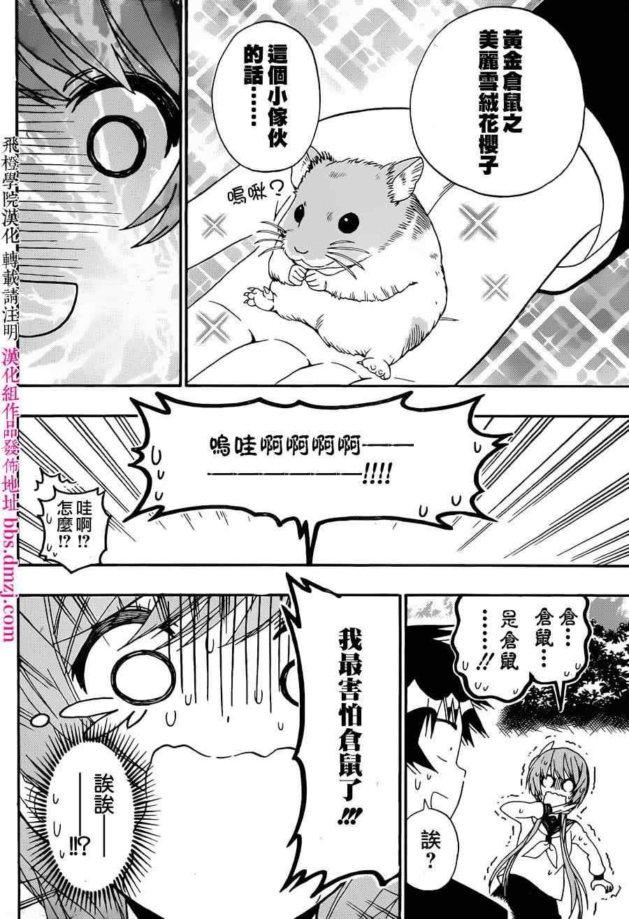 《伪恋》漫画最新章节第142话 动物免费下拉式在线观看章节第【14】张图片