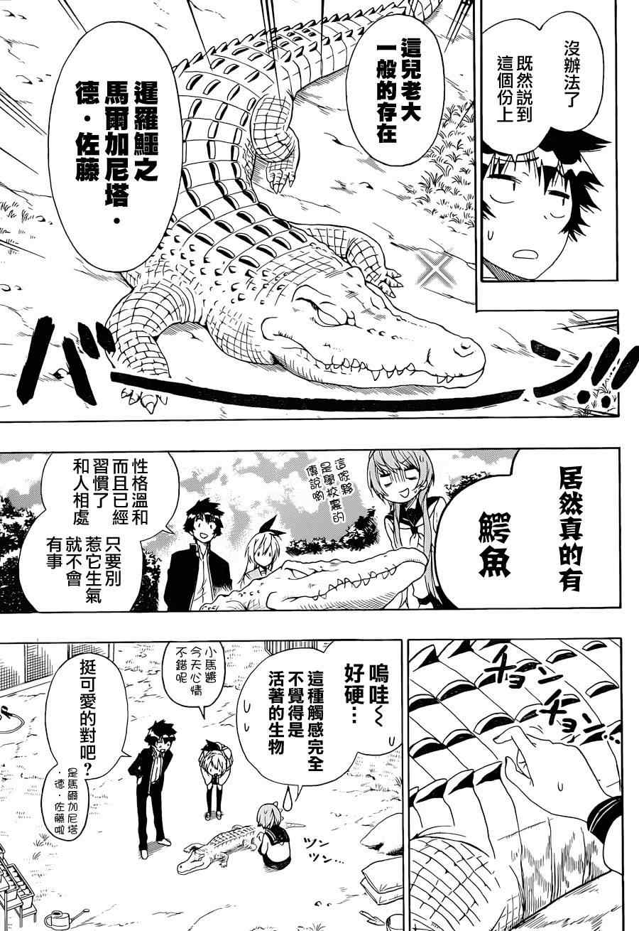 《伪恋》漫画最新章节第142话 动物免费下拉式在线观看章节第【11】张图片