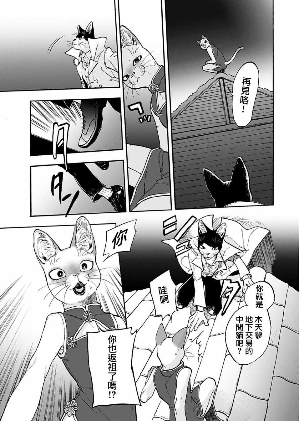 《猫猫刑警》漫画最新章节第6话免费下拉式在线观看章节第【18】张图片