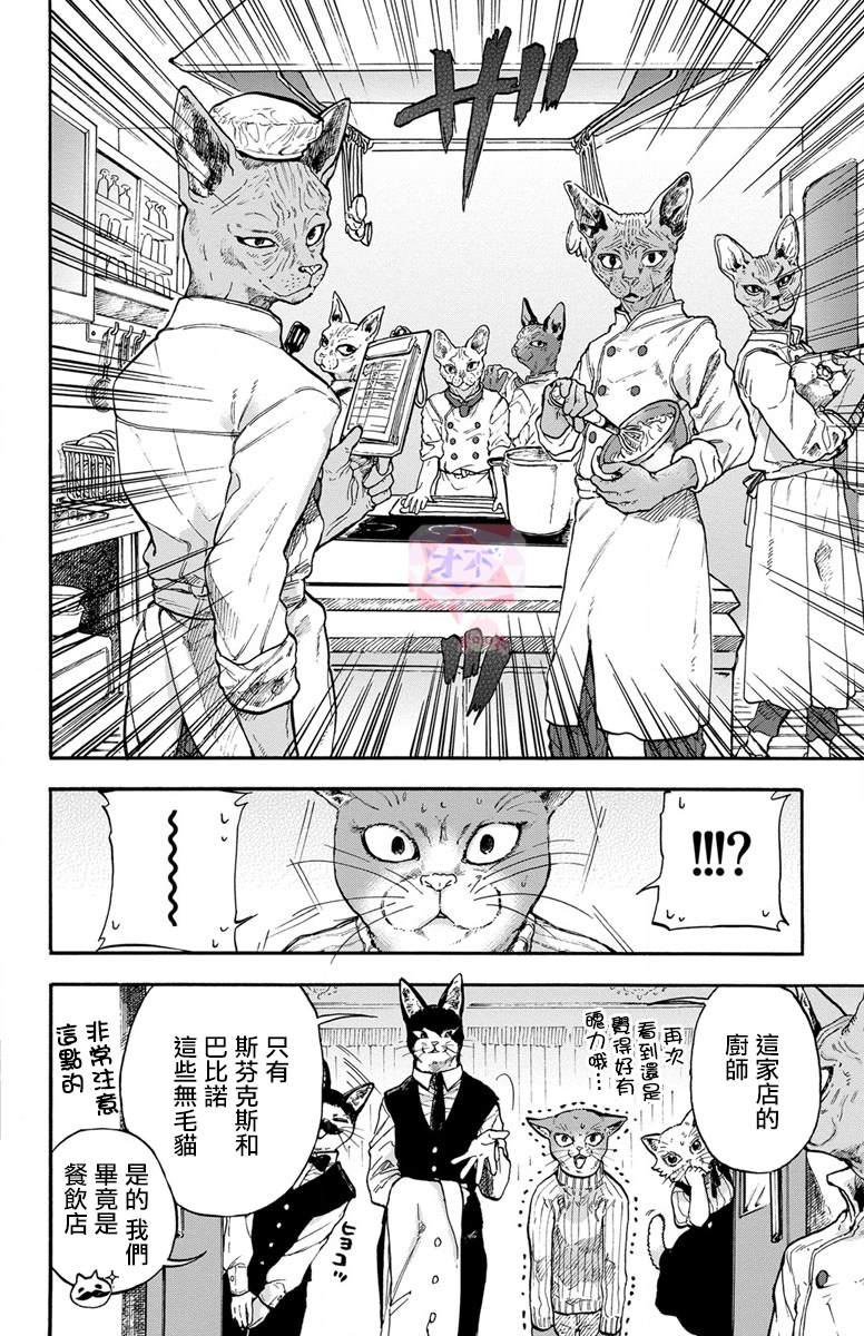 《猫猫刑警》漫画最新章节第1话免费下拉式在线观看章节第【11】张图片