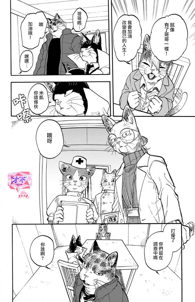 《猫猫刑警》漫画最新章节第5话免费下拉式在线观看章节第【10】张图片