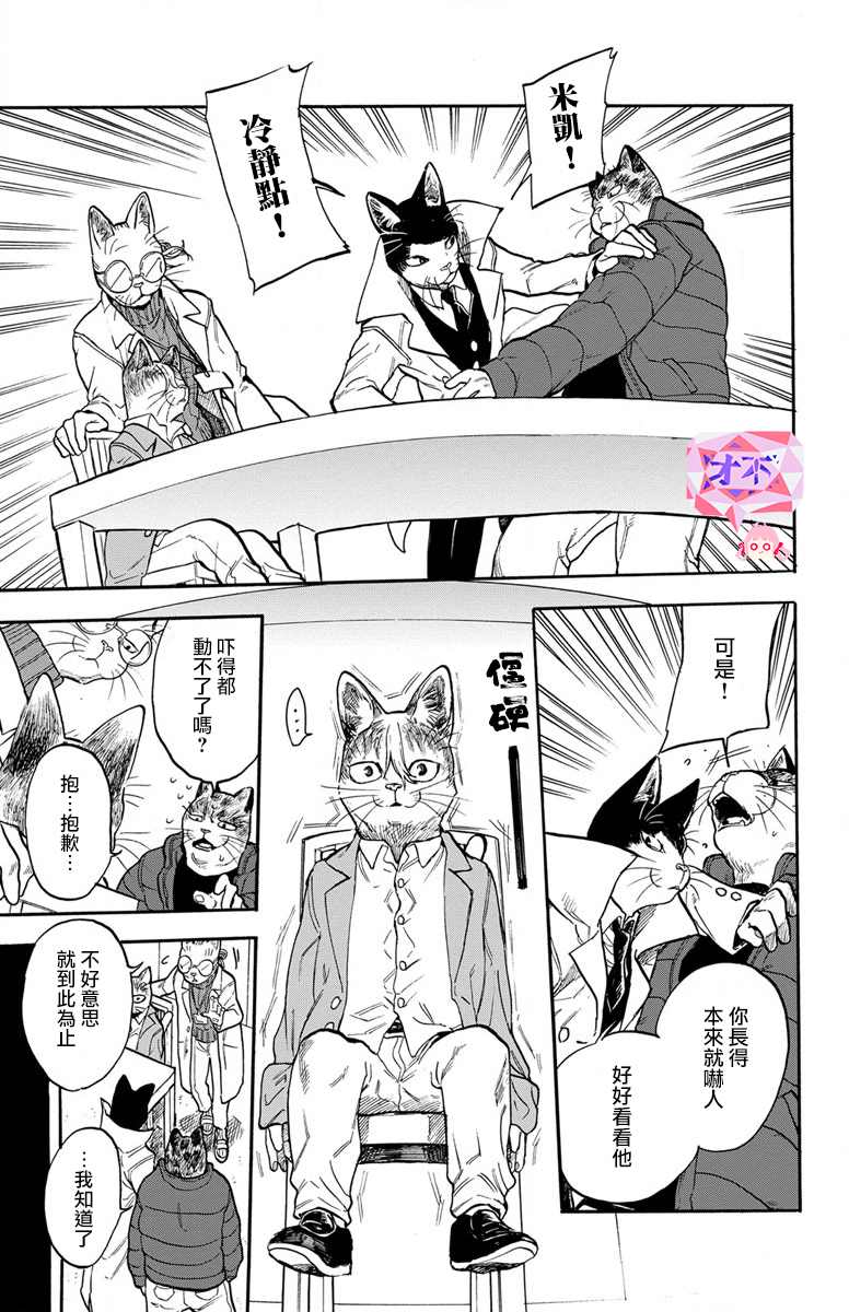 《猫猫刑警》漫画最新章节第5话免费下拉式在线观看章节第【15】张图片