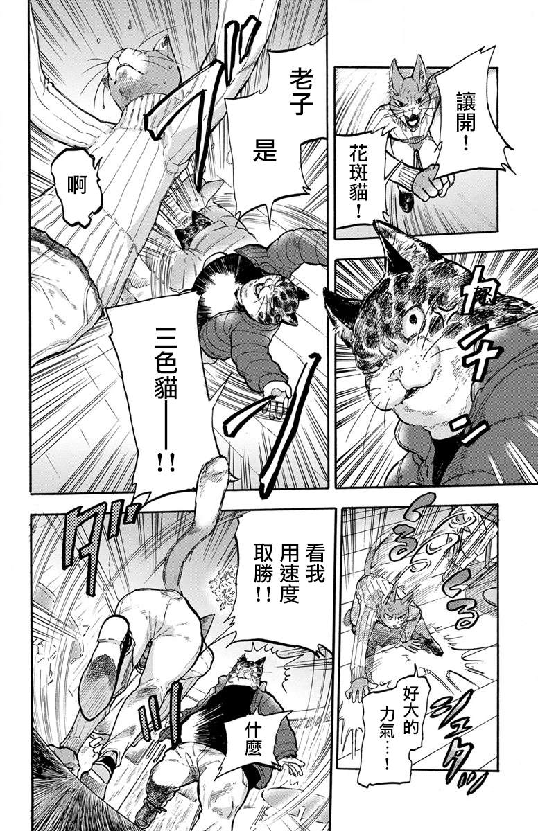 《猫猫刑警》漫画最新章节第1话免费下拉式在线观看章节第【13】张图片