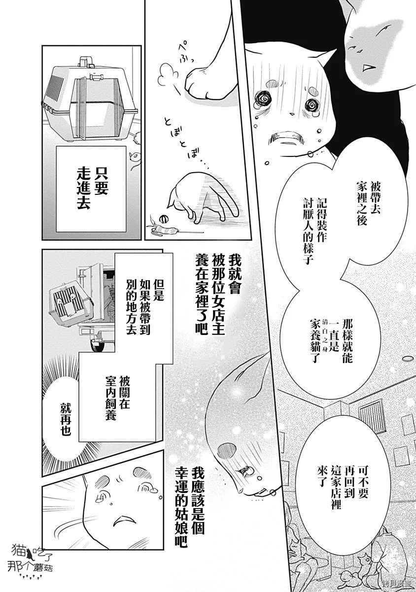 《猫咖的玛丽莲》漫画最新章节第1话免费下拉式在线观看章节第【13】张图片