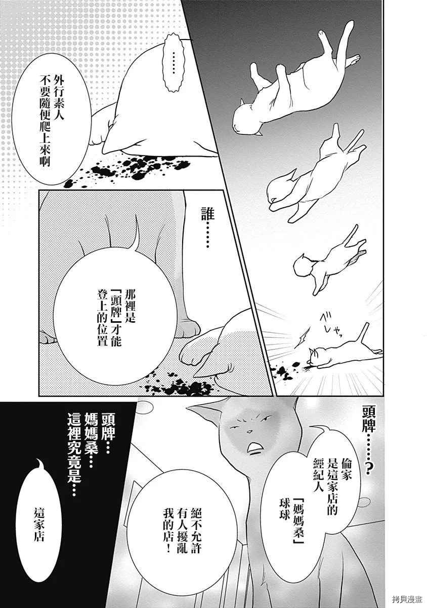 《猫咖的玛丽莲》漫画最新章节第1话免费下拉式在线观看章节第【8】张图片