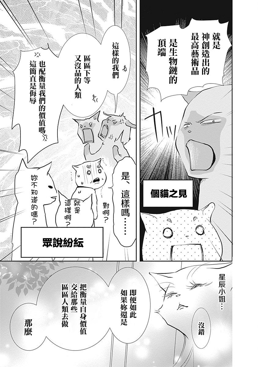 《猫咖的玛丽莲》漫画最新章节第9话免费下拉式在线观看章节第【5】张图片