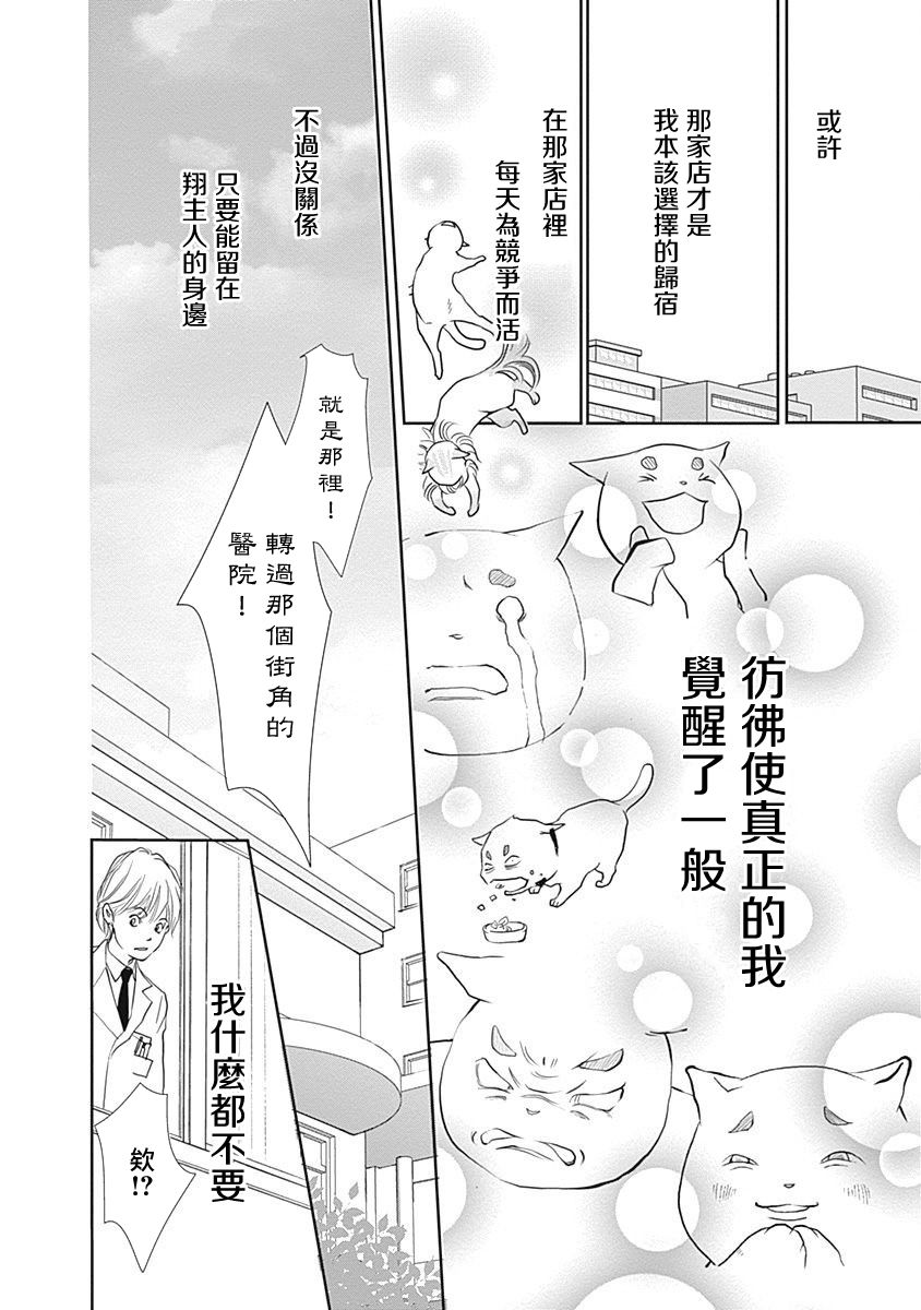 《猫咖的玛丽莲》漫画最新章节第9话免费下拉式在线观看章节第【10】张图片