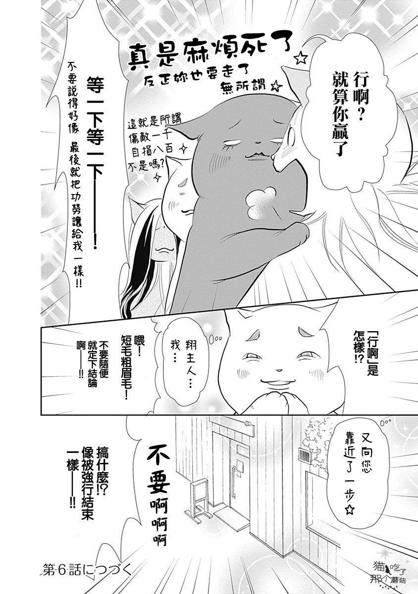 《猫咖的玛丽莲》漫画最新章节第5话免费下拉式在线观看章节第【12】张图片