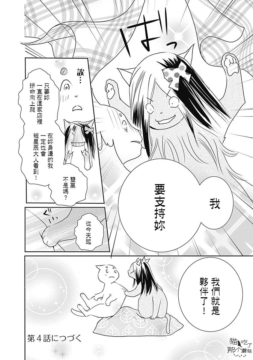 《猫咖的玛丽莲》漫画最新章节第3话免费下拉式在线观看章节第【12】张图片