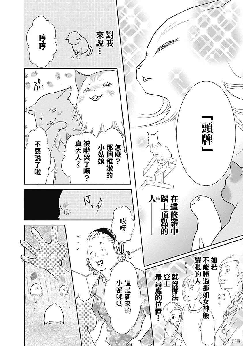 《猫咖的玛丽莲》漫画最新章节第1话免费下拉式在线观看章节第【11】张图片