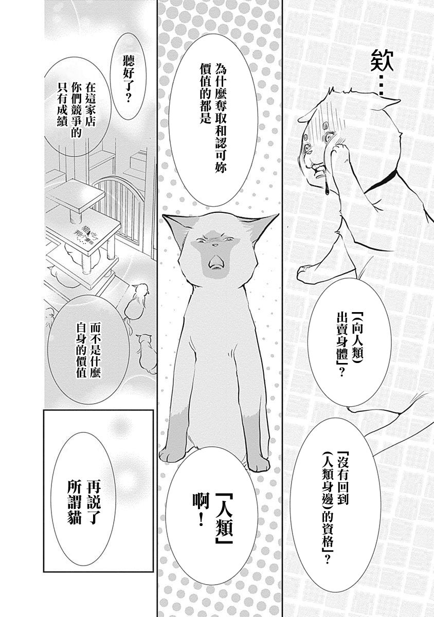 《猫咖的玛丽莲》漫画最新章节第9话免费下拉式在线观看章节第【4】张图片