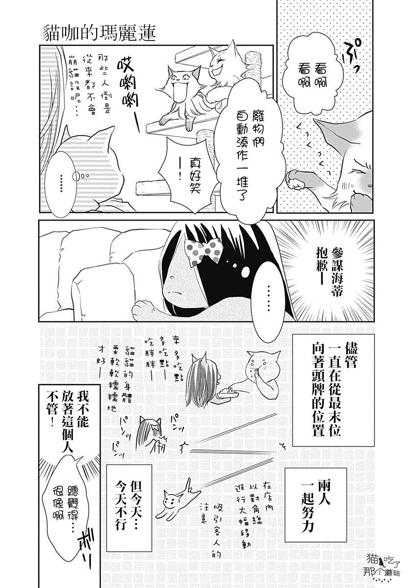 《猫咖的玛丽莲》漫画最新章节第4话免费下拉式在线观看章节第【5】张图片