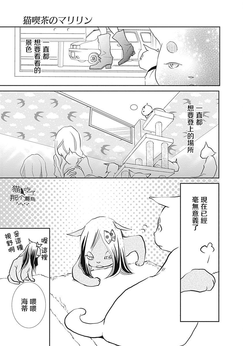 《猫咖的玛丽莲》漫画最新章节第8话免费下拉式在线观看章节第【9】张图片