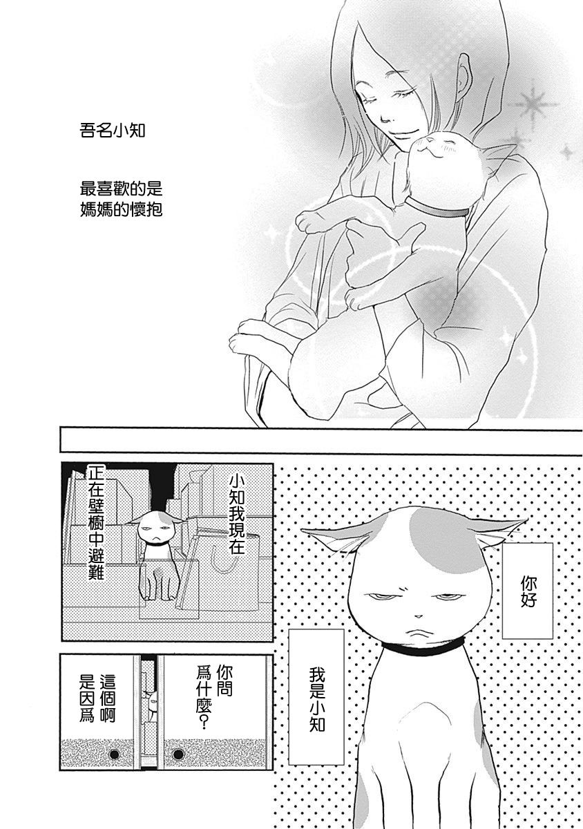 《猫咖的玛丽莲》漫画最新章节第10话免费下拉式在线观看章节第【2】张图片