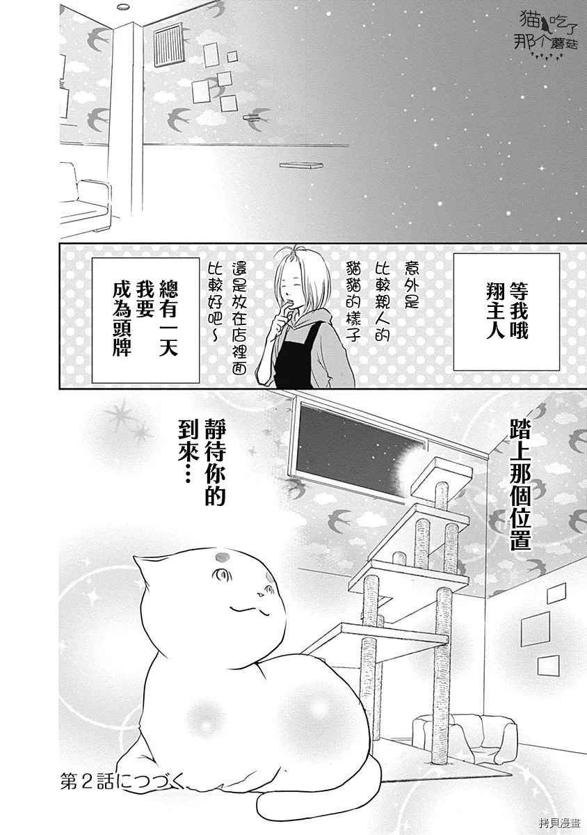 《猫咖的玛丽莲》漫画最新章节第1话免费下拉式在线观看章节第【16】张图片