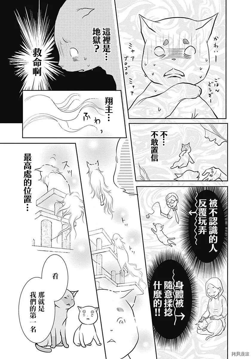 《猫咖的玛丽莲》漫画最新章节第1话免费下拉式在线观看章节第【10】张图片