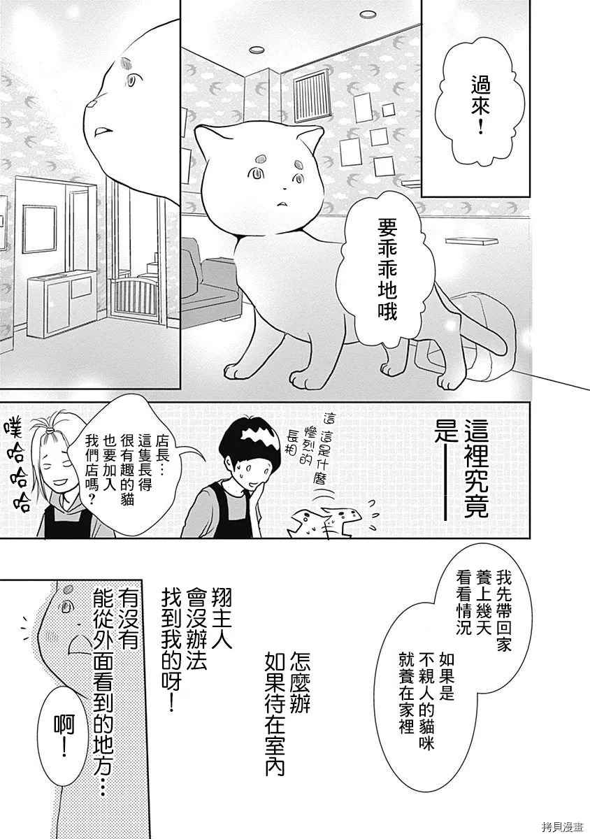 《猫咖的玛丽莲》漫画最新章节第1话免费下拉式在线观看章节第【6】张图片