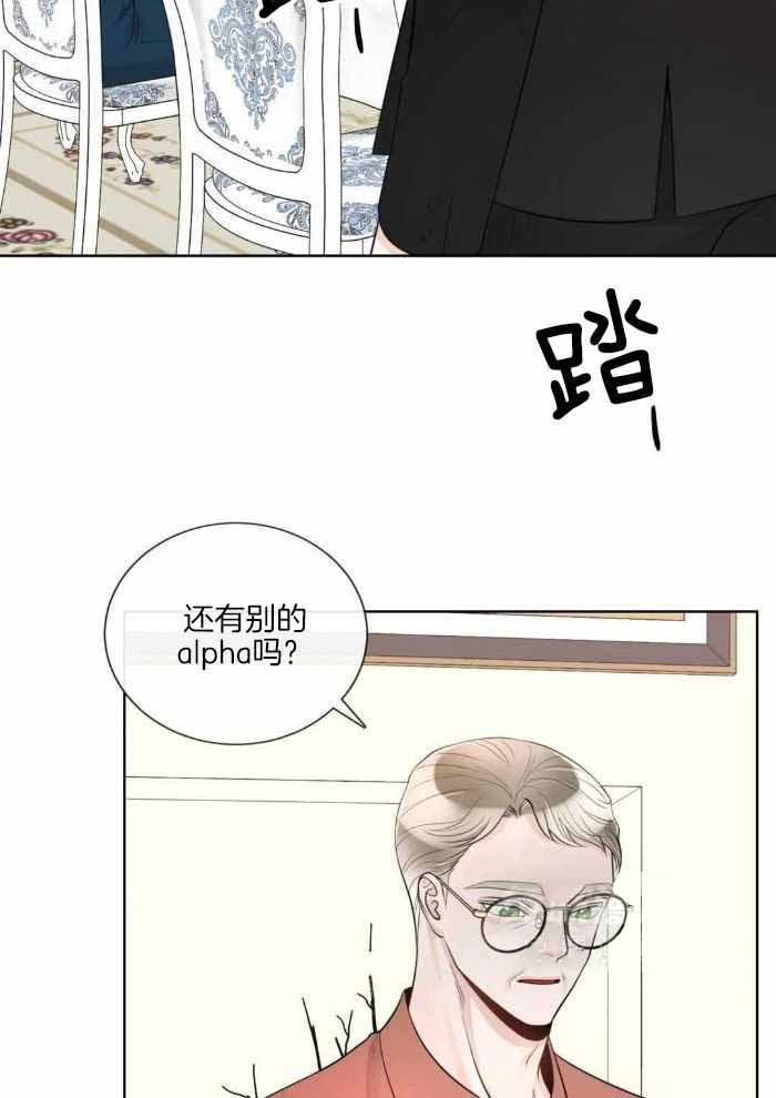 《阿尔法伴侣》漫画最新章节第88话免费下拉式在线观看章节第【25】张图片