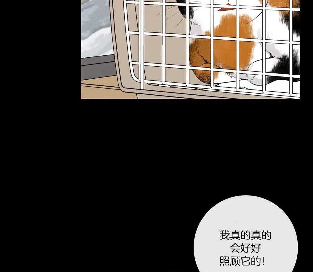 《阿尔法伴侣》漫画最新章节第94话免费下拉式在线观看章节第【45】张图片